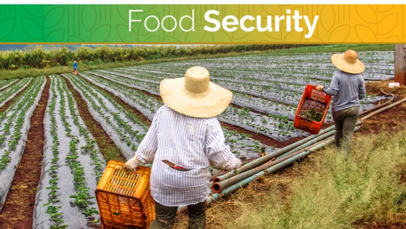 Food Security World Bank